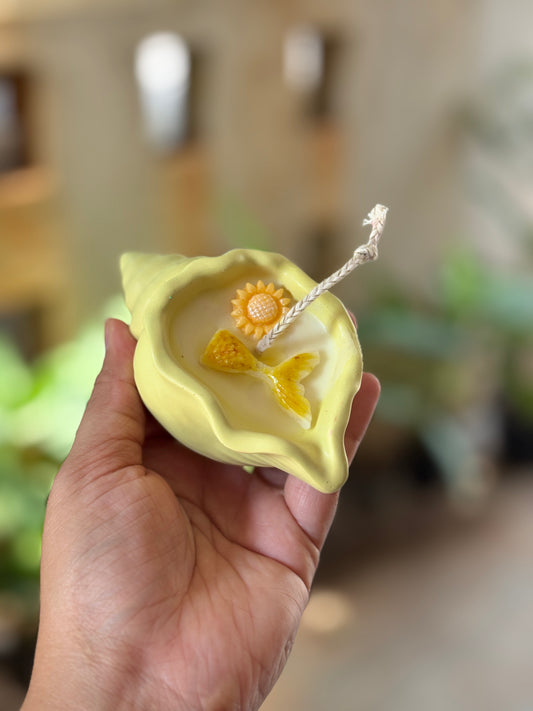 Conch Candle