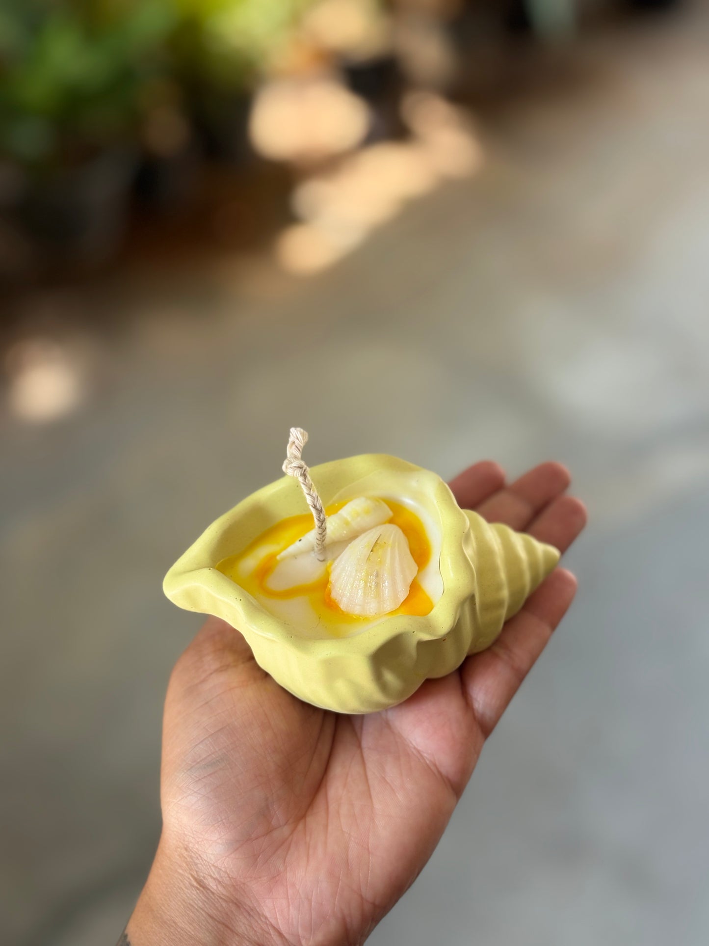 Conch Candle