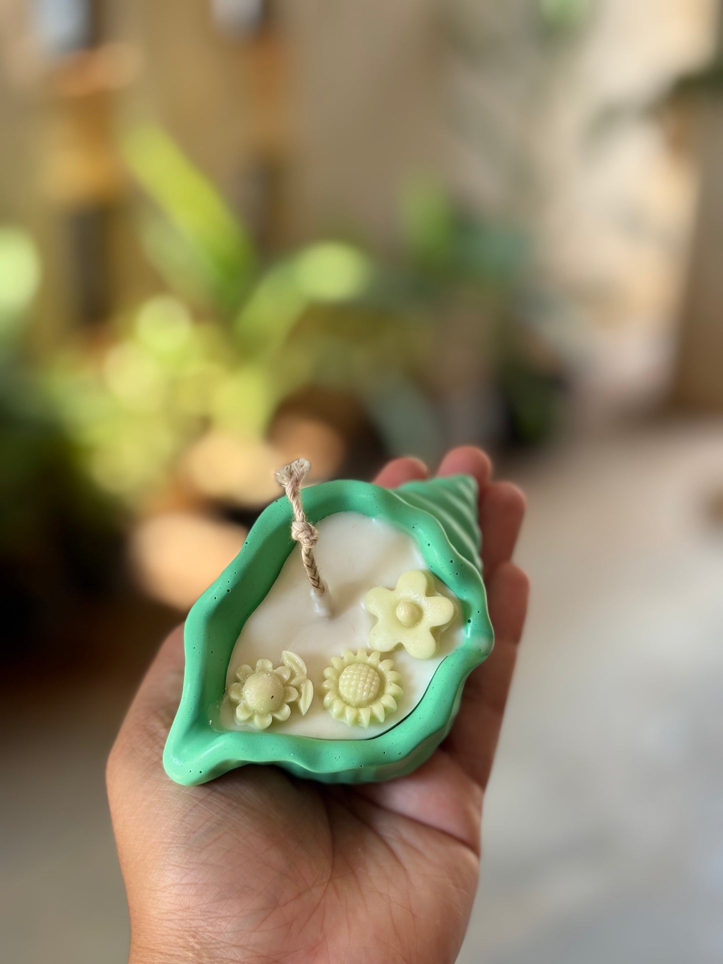 Conch Candle